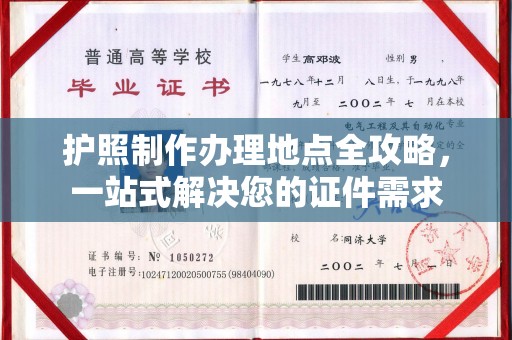 金平护照制作办理地点全攻略，一站式解决您的证件需求