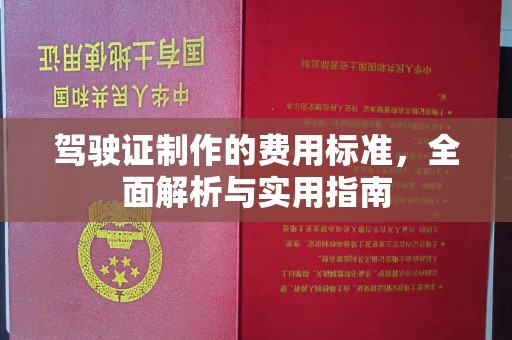 金平驾驶证制作的费用标准，全面解析与实用指南