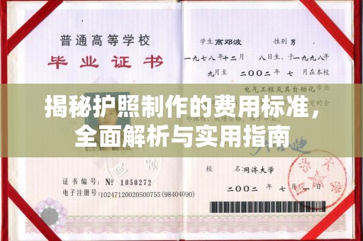 金平揭秘护照制作的费用标准，全面解析与实用指南