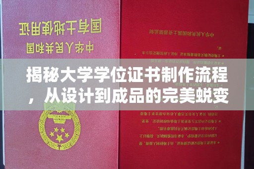 金平揭秘大学学位证书制作流程，从设计到成品的完美蜕变