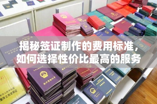 金平揭秘签证制作的费用标准，如何选择性价比最高的服务？