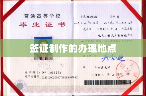 金平签证制作的办理地点