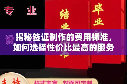 金平揭秘签证制作的费用标准，如何选择性价比最高的服务？