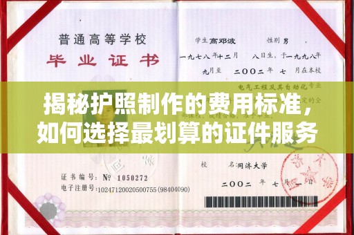 金平揭秘护照制作的费用标准，如何选择最划算的证件服务？