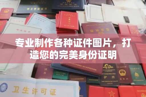 金平专业制作各种证件图片，打造您的完美身份证明