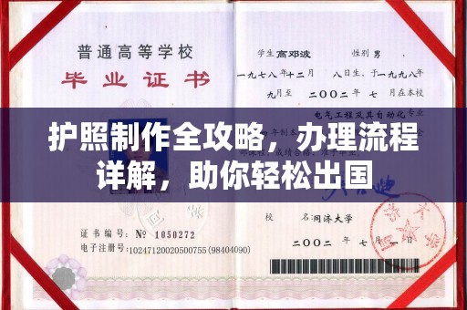 金平护照制作全攻略，办理流程详解，助你轻松出国